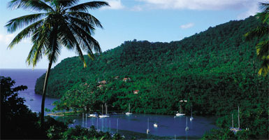 stlucia
