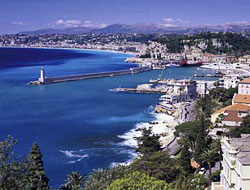 burtwolfheader2_01 burtwolfheader2_01