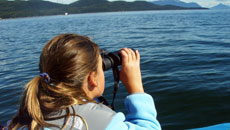 regentkids_sail_free_20091