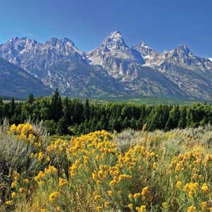 globusgrandtetons