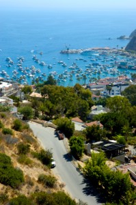 Places to Visit: Catalina Island