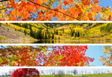 Great New England Routes for Leaf-Peeping