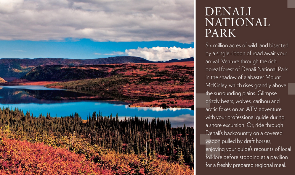 denali-national-park