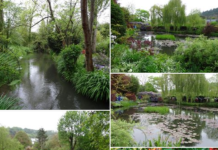 Day Trips from Port of Le Havre France Day Trips from Port of Le Havre France