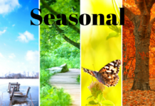Seasonal Travel Ideas