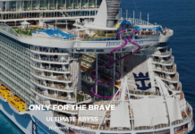 New Harmony of the Seas Unveils Tallest Slide at Sea