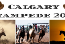 Calgary Stampede 2017