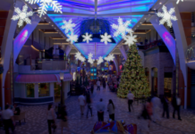 Royal Caribbean Christmas Cruises