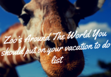 Zoo’s Around The World Worth Visiting