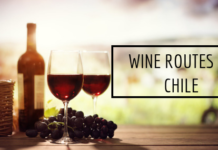 Wine Routes of Chile