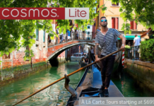 Cosmos vs. Cosmos Lite