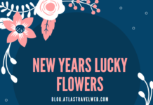 New Years Lucky Flowers