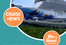 Which Cruise Lines no longer require Testing