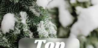 Winter Vacation: Top Winter Getaways winter getaway