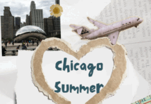Chicago in Summer: The Ultimate Travel Guide chicago summer